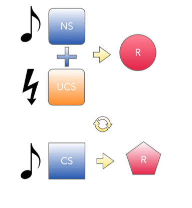 Klassisk betinging av lyd-støt, hvor lyd etter betinging utløser/trigger den ubehagelige responsen.