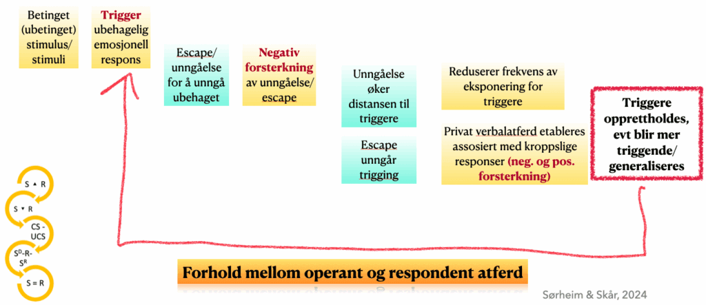 Visualisering av forholdet mellom operant og respondent atferd, hvordan triggere knyttes til unngåelse, som øker utfordringene, og hvordan verbal atferd er involvert.